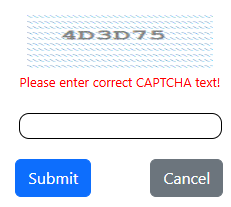 Example of Captcha error message